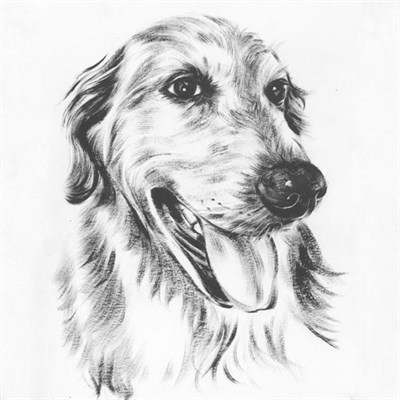 Hand Painted Ink Rendering Portraits from Photos - myDaVinci